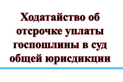 Образец заявления об отсрочке уплаты госпошлины в суд общей юрисдикции