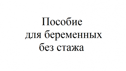 Пособие по беременности и родам презентация