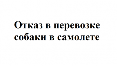 Можно ли перевозить видеокарту в самолете