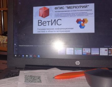 Заявление о регистрации в ФГИС ВетИС и предоставлении доступа к ФГИС